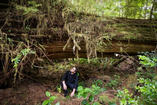 Nurse log.