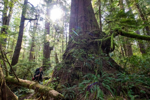 Hiking the Nootka Trail.