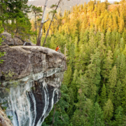 Cathedral Grove Canyon Cliff