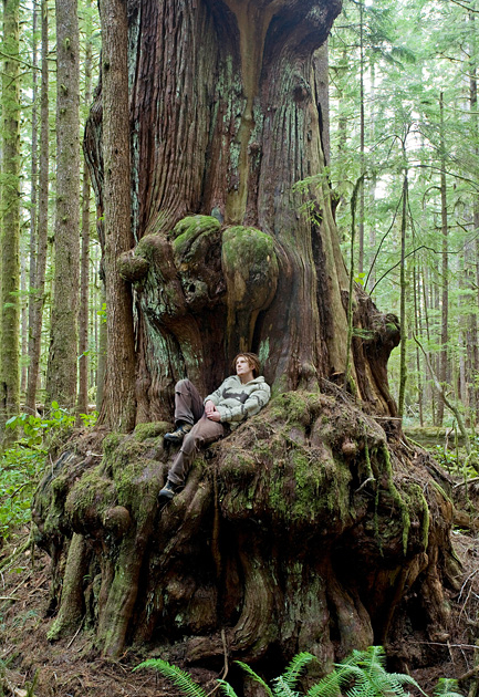 AFA Photographer TJ Watt relaxes in a giant redcedar the day he and a friend discovered the now endangered Avatar Grove.