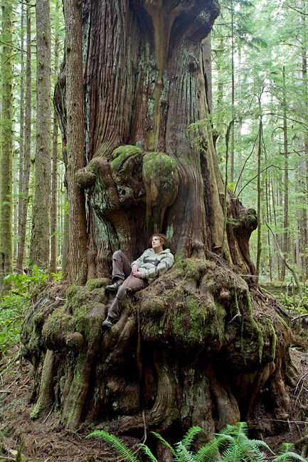 AFA Photographer TJ Watt relaxes in a giant redcedar the day he and a friend discovered the now endangered Avatar Grove.