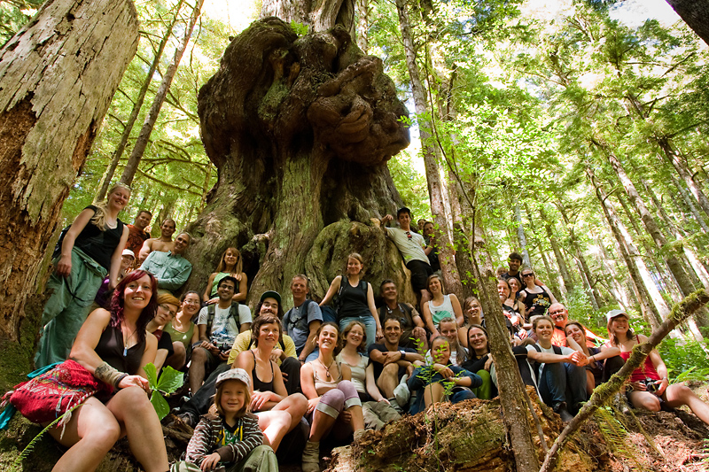 A large group of hikers crowd around the massive redcedar dubbed "Canada's Gnarliest Tree" during an Ancient Forest Alliance led public hike to the Avatar Grove in summer 2010.