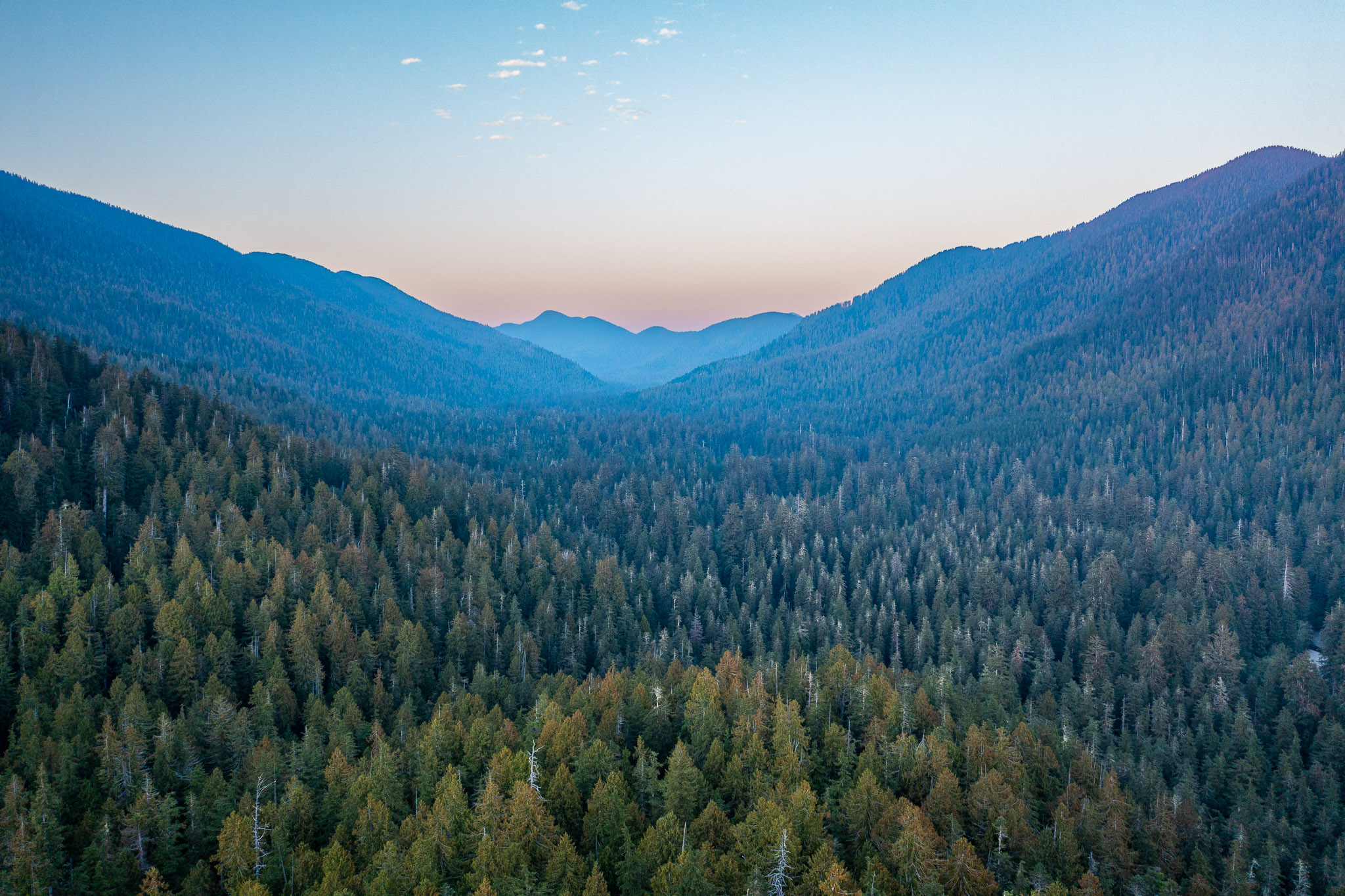 The Carmanah Valley at dusk, with shades of green and blue in the valley and pink along the mountain outline.