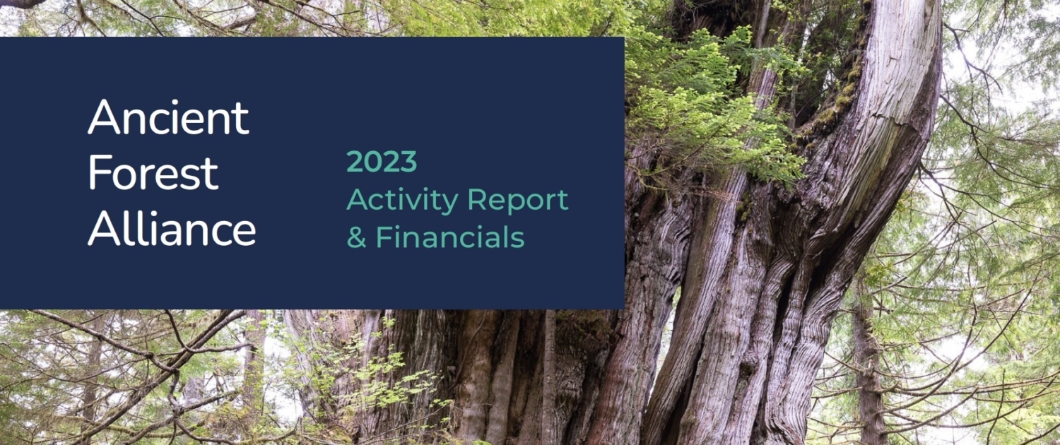 A man in a red jacket stands in front of a massive old-growth western redcedar. A navy blue text box sits in the top left corner reading, "Ancient Forest Alliance; 2023 Activity Report & Financials". Ancient Forest Alliance's logo sits in the bottom right corner.