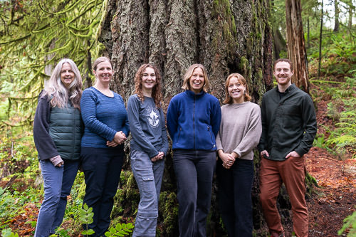 The six AFA team members stand beside each other in front of an old-growth Douglas-fir tree.